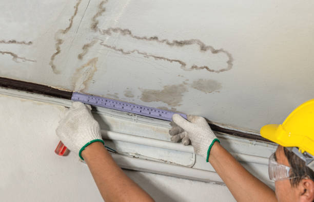 Reliable Water Damage Repair contractor in Mallory, WV by Aqua Guard Water Damage